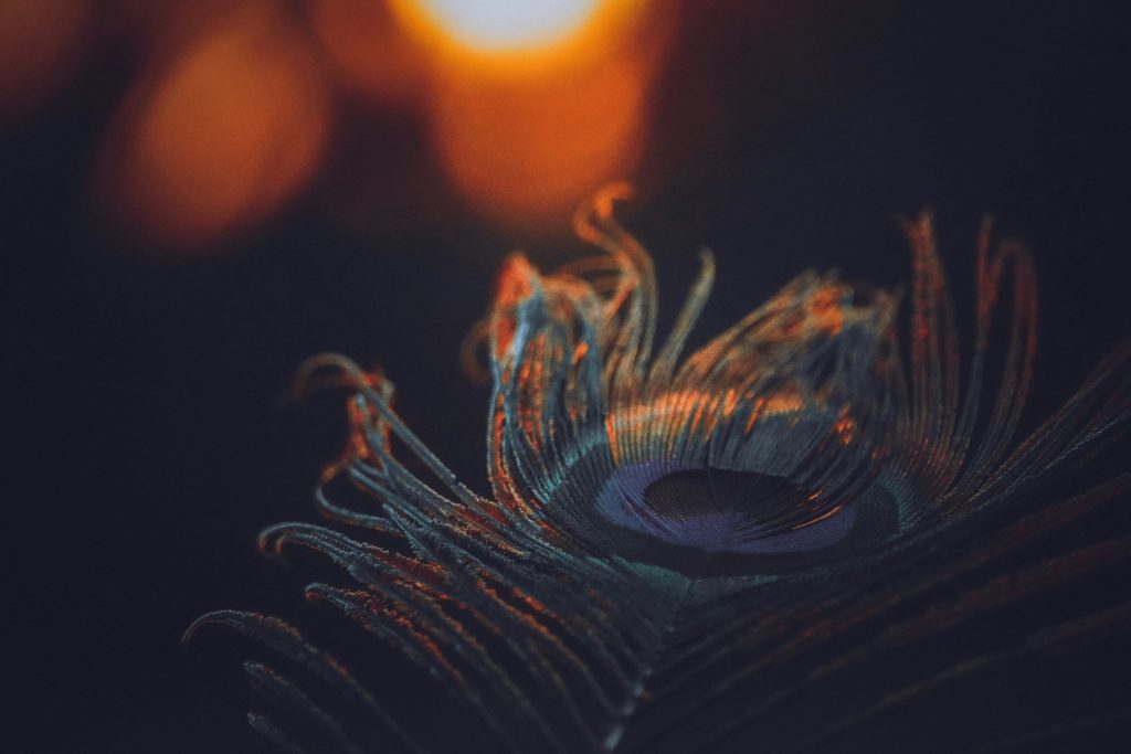 The Untold Love Story from Mahabharata